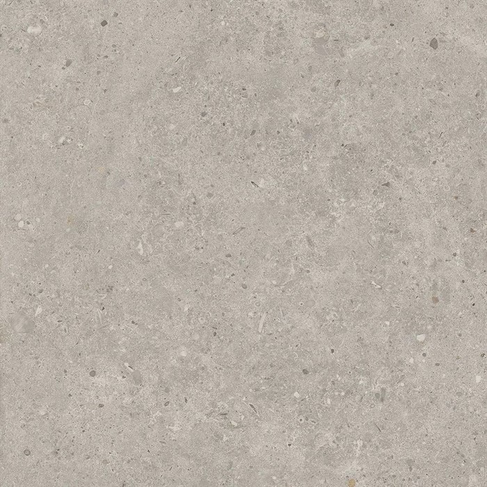 SG653720R Риккарди серый светлый матовый обрезной 60x60x0,9 Орел (1,44) - фото 130792