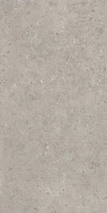 SG519920R Риккарди серый светлый матовый обрезной 60х119,5x0,9 Орел (1,434) - фото 130796