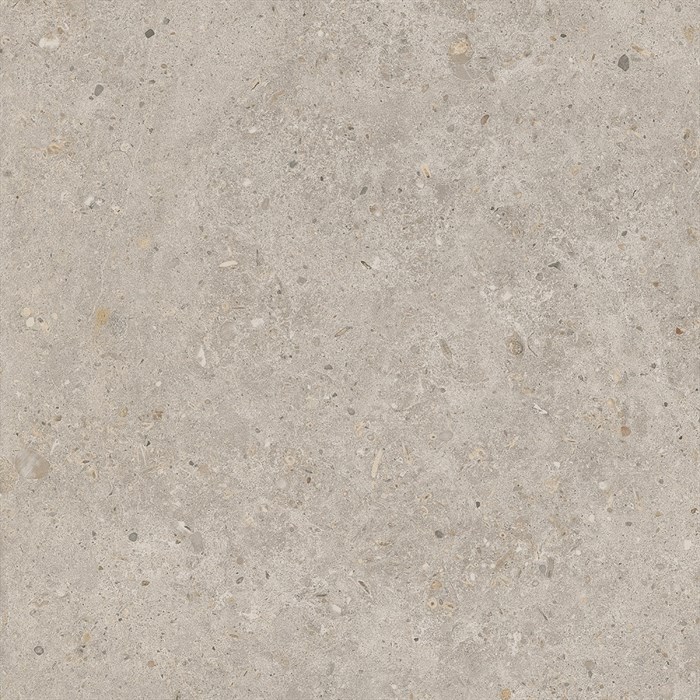 SG653820R Риккарди бежевый матовый обрезной 60x60x0,9 (1,44) - фото 130871