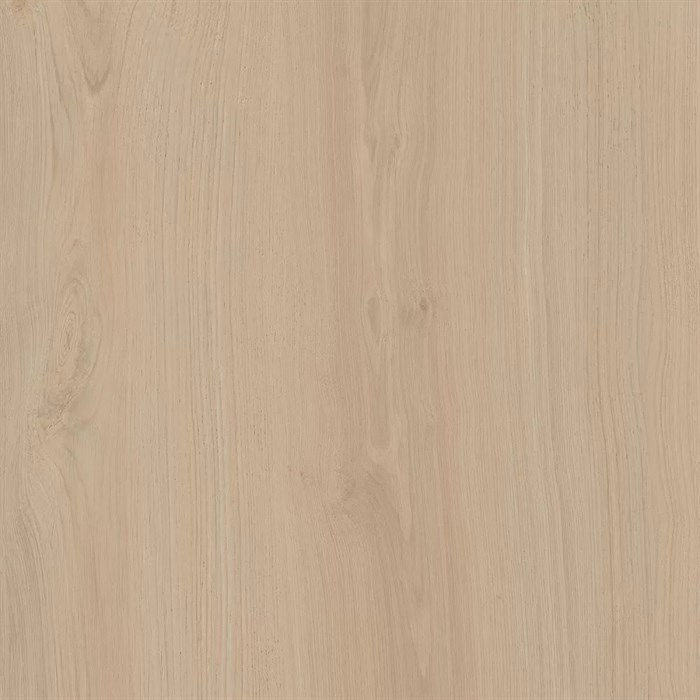 SG643420R Альберони бежевый светлый матовый обрезной 60x60x0,9 (1.44) - фото 131739
