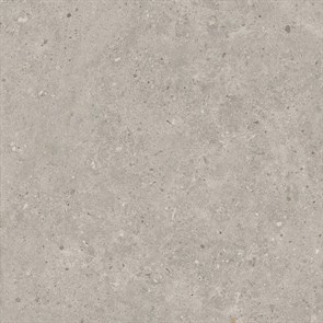 SG653720R Риккарди серый светлый матовый обрезной 60x60x0,9 Орел (1,44)
