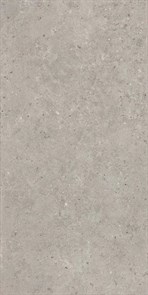 SG519920R Риккарди серый светлый матовый обрезной 60х119,5x0,9 Орел (1,434)