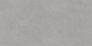{{photo.Alt || photo.Description || 'DL500820R Фондамента серый светлый обрезной 60x119,5x0,9 (1,434)'}}