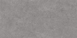 {{photo.Alt || photo.Description || 'DL500920R Фондамента серый обрезной 60x119,5x0,9  (1,434)'}}