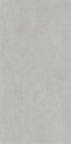 DD570190R Про Догана серый светлый матовый обрезной 80x160x0,9 (2,56)