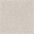 DD642220R Джиминьяно серый светлый матовый обрезной 60х60x0,9 Орел (1,44) - фото 130790