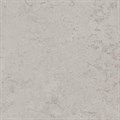 DD641020R Про Лаймстоун серый светлый натуральный обрезной 60x60x0,9  (1,44) - фото 130965