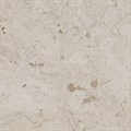 DD641120R Про Лаймстоун бежевый темный натуральный обрезной 60x60x0,9  (1,44) - фото 130984