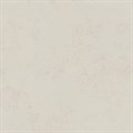 DD641320R Про Лаймстоун бежевый светлый натуральный обрезной 60x60x0,9 (1,44) - фото 131013