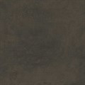 DD639820R Про Фьюче коричневый обрезной 60x60x0,9 (1,44) - фото 131126